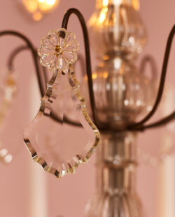 Donker gepatineerde antieke kroonluchter FR07